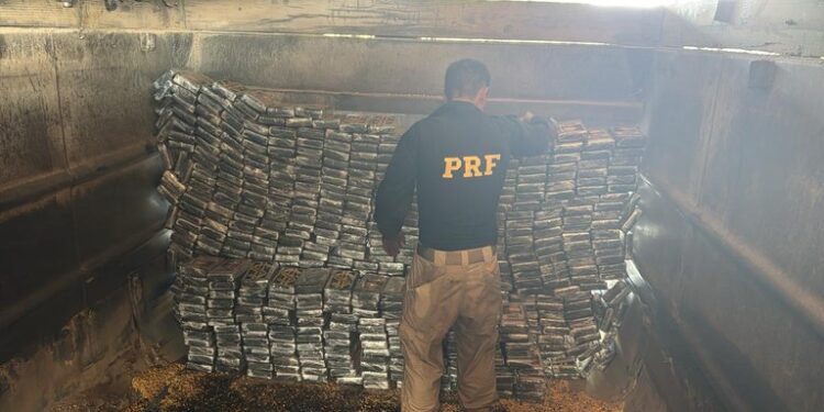 PRF apreende mais de 600 kg de cocaína no Paraná e realiza a maior apreensão da droga no país em 2025