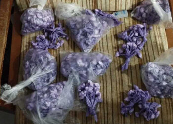 Forças do Estado apreendem 1,1 mil porções de cocaína e desarticulam delivery de drogas