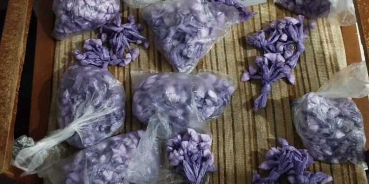 Forças do Estado apreendem 1,1 mil porções de cocaína e desarticulam delivery de drogas