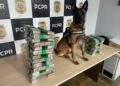 PCPR prende casal em flagrante e apreende 23 quilos de maconha