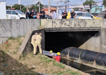 Câmera de segurança registrou crime brutal em plena luz do dia na Wenceslau Braz, em Curitiba