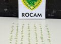 Indivíduo é abordado e ROCAM encontra 73 pedras de crack
