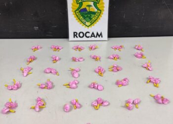 ROCAM aborda indivíduo no Cajuru e encontra buchas de cocaína