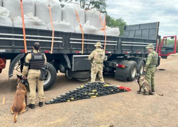 Operação conjunta apreende mais de 113 kg de cocaína e pasta base escondidos em carga de grão-de-bico