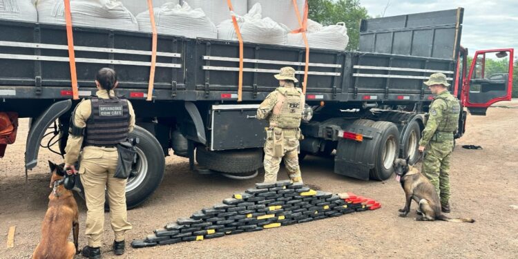 Operação conjunta apreende mais de 113 kg de cocaína e pasta base escondidos em carga de grão-de-bico