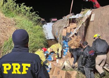 Caminhão com carga de cigarros contrabandeados tomba na BR-280 e motorista foge do local