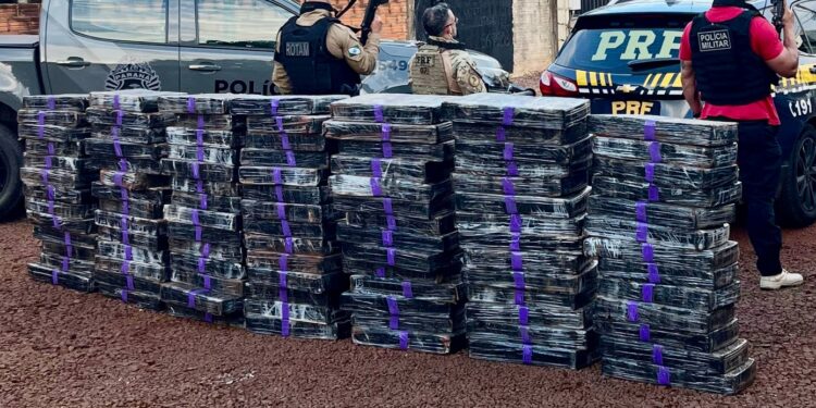 Lava car usado como depósito de drogas é alvo de operação conjunta da PRF e PM