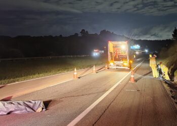 Trabalhador da Via Araucária morre atropelado na BR-277 em Campo Largo e motorista foge
