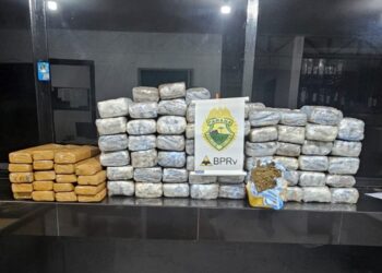 Polícia Rodoviária Estadual apreende mais de 80 quilos de maconha após acidente