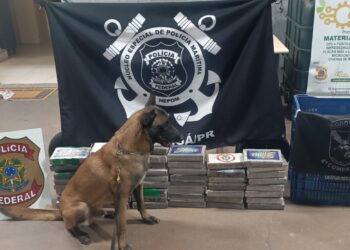 Ação conjunta entre BPRv e Polícia Federal apreende mais de 53 quilos de cocaína