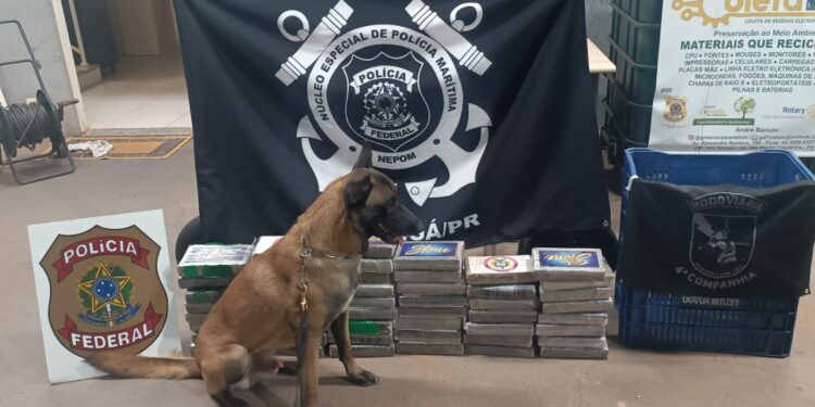 Ação conjunta entre BPRv e Polícia Federal apreende mais de 53 quilos de cocaína