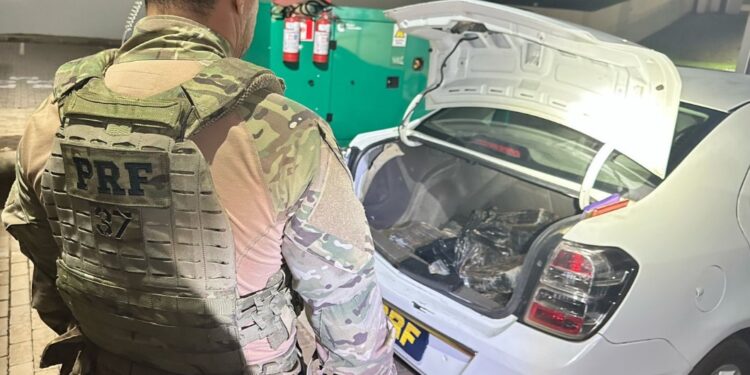 PRF apreende mais de 100 quilos de maconha na BR-163