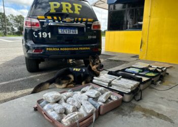 PRF apreende mais de 120 quilos de drogas em táxi na BR-277