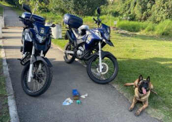 Tornozelado é detido pela Guarda Municipal traficando drogas no Cajuru