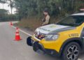 Homem é executado com 7 tiros tiros na região metropolitana de Curitiba