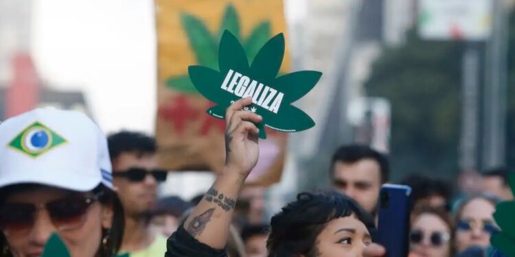 Proibição à Marcha da Maconha em Curitiba já pode ser votada em plenário