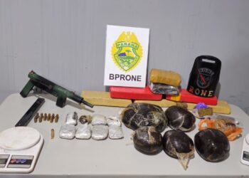 RONE apreende submetralhadora, drogas e prende dois indivíduos