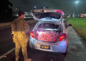 PRF apreende 221 kg de maconha e detém dupla após acompanhamento tático e acidente na BR-277