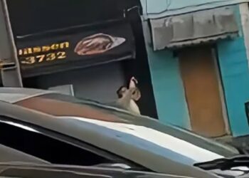 CORP prende indivíduo em flagrante por furto de fios no Centro de Curitiba