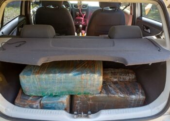 PRF apreende quase 90 kg de maconha em abordagem na BR-373