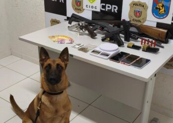 PCPR e PMPR prendem duas pessoas por porte ilegal de armas e gravação não autorizada de intimidade sexual