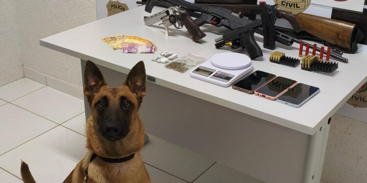 PCPR e PMPR prendem duas pessoas por porte ilegal de armas e gravação não autorizada de intimidade sexual