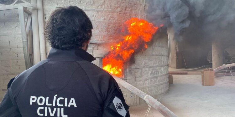 PCPR incinera 1,6 toneladas de entorpecentes em Colombo