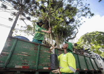 Curitiba é a capital com melhor qualidade de vida no Brasil, segundo IPS 2025