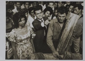 Em junho, mais de 100 filmes na Cinemateca de Curitiba, com homenagem a Valêncio Xavier, clássicos de terror e Olhar de Cinema