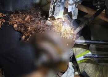 Equipe realiza resgate complexo de mulher que ficou com couro cabeludo preso em semieixo de carro