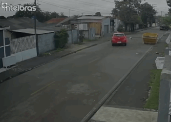 Polícia Civil indicia mulher por maus-tratos após atropelamento; mulher diz que não viu o cãozinho