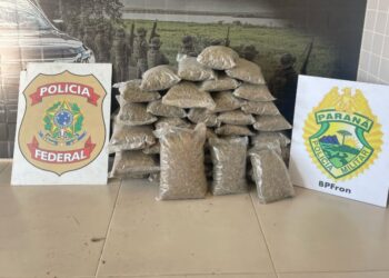 BPFRON e NEPOM apreendem quase 16 kg de skunk