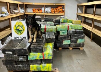 BPFRON apreende mais de três toneladas de drogas