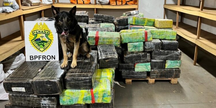 BPFRON apreende mais de três toneladas de drogas