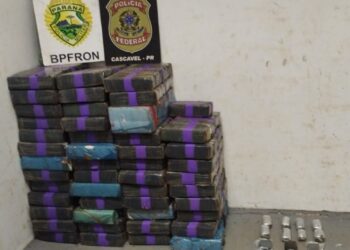 BPFRON e PF apreendem quase meia tonelada de drogas