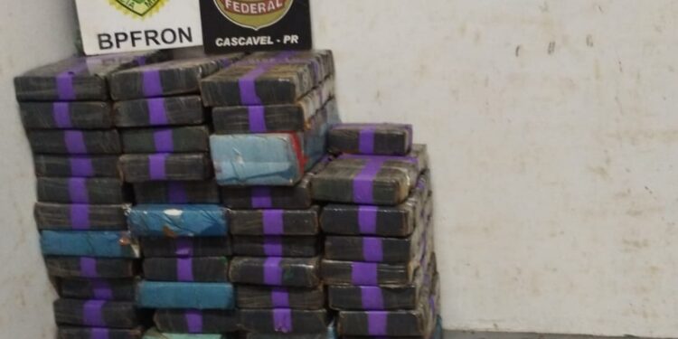 BPFRON e PF apreendem quase meia tonelada de drogas