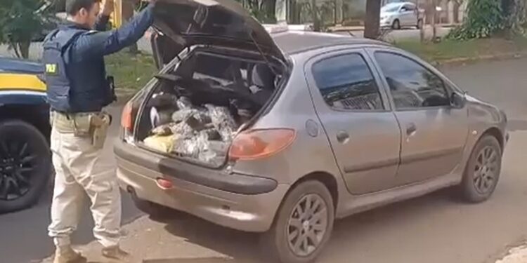 Motorista com carregamento de maconha tenta fugir da PRF, mas desiste e se entrega