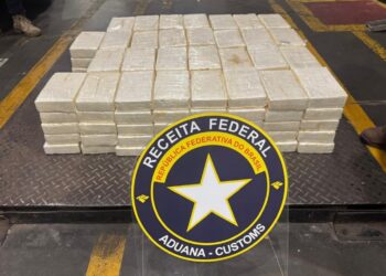 Receita Federal apreende no Porto de Paranaguá carregamento milionário de cocaína