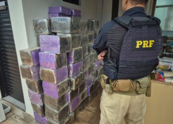 PRF apreende mais de 1,6 tonelada de drogas e meio milhão de maços de cigarros