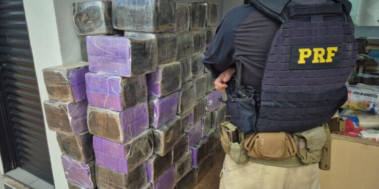 PRF apreende mais de 1,6 tonelada de drogas e meio milhão de maços de cigarros