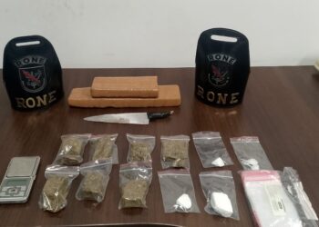 RONE apreende drogas e prende indivíduo durante operação em Pinhais