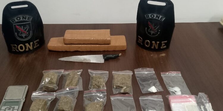 RONE apreende drogas e prende indivíduo durante operação em Pinhais