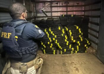 PRF apreende mais de 1,7 tonelada de maconha na BR-376