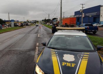 Atropelamento fatal é registrado na BR-369 no norte do Paraná