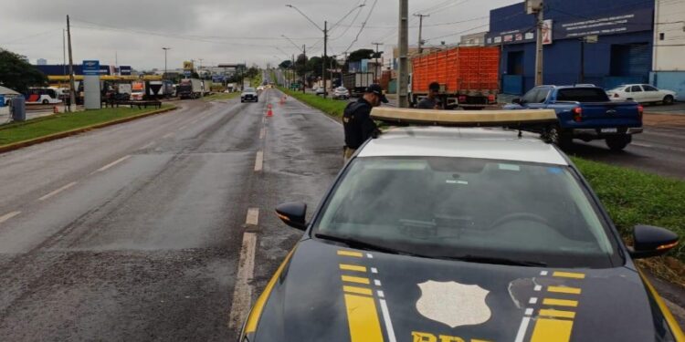 Atropelamento fatal é registrado na BR-369 no norte do Paraná