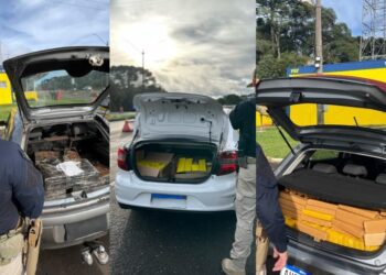 PRF apreende mais de 735 kg de maconha e recupera carro roubado na BR-277