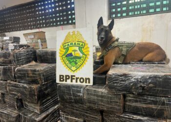 Com auxílio de cão farejador, BPFRON encontra em mata mais de 1 tonelada de maconha