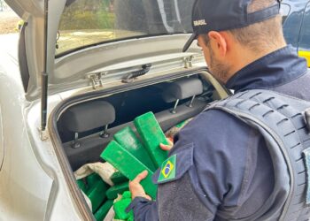 PRF apreende cerca de 100 kg de maconha e skunk em Ponta Grossa; dois homens foram presos