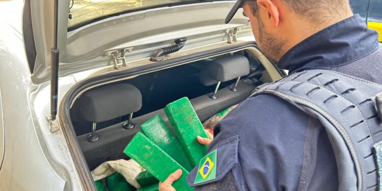 PRF apreende cerca de 100 kg de maconha e skunk em Ponta Grossa; dois homens foram presos