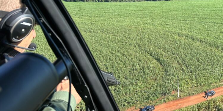 Tentativa de roubo de carreta termina em confronto, um ferido e prisões em Santa Tereza do Oeste